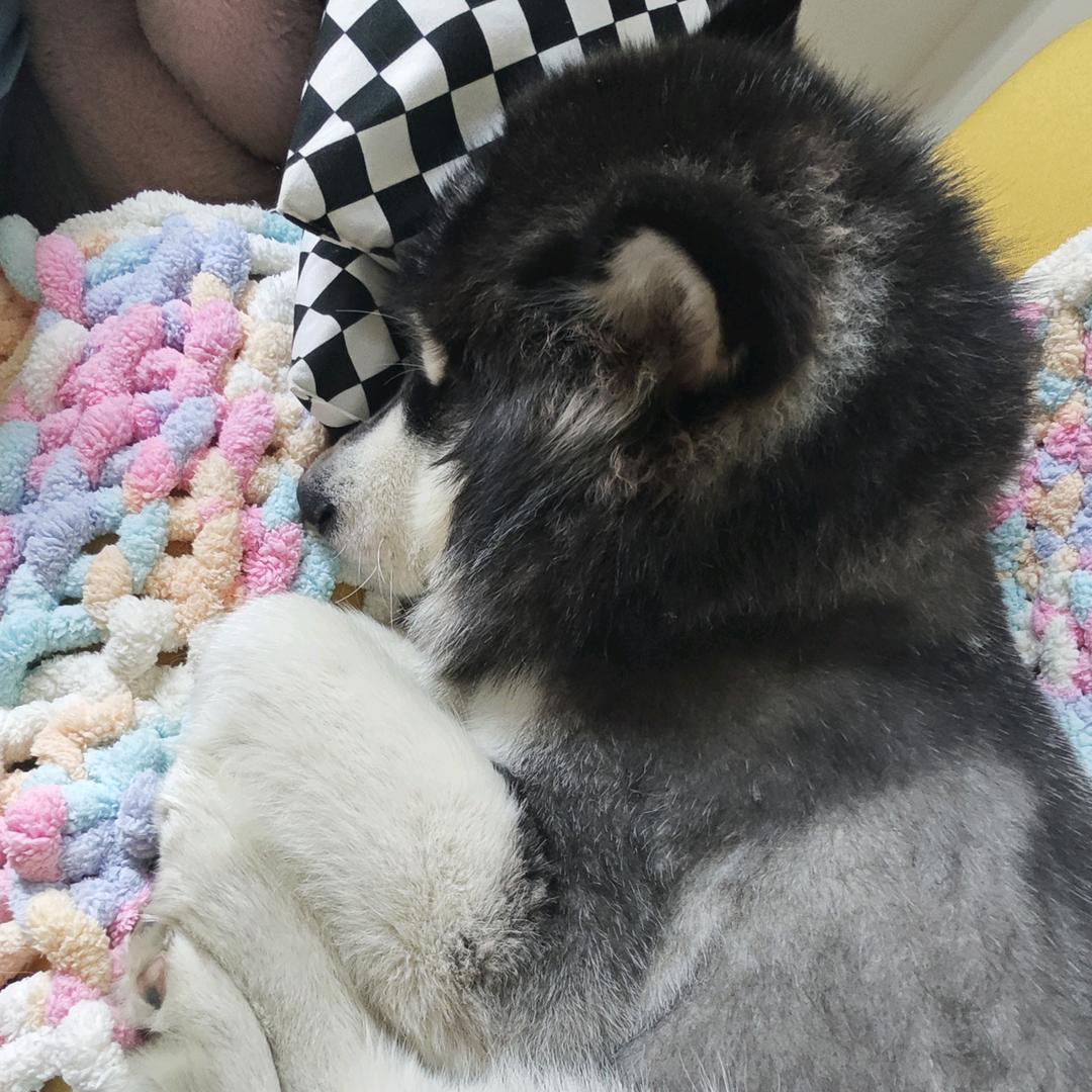 冬月