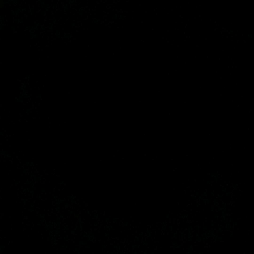 666(三角洲行动)