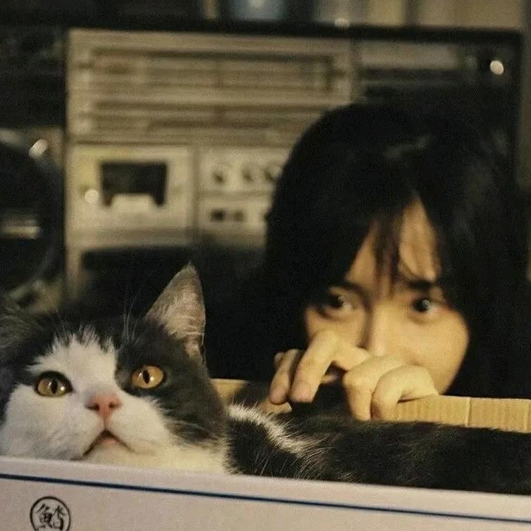 颜如玉🙇‍♀️