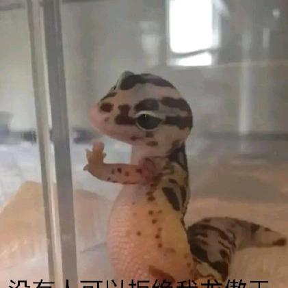 空想家