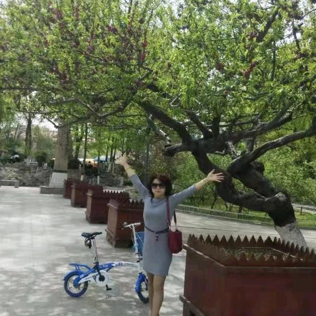 露珠儿