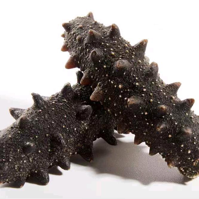 海边渔民海参工厂店