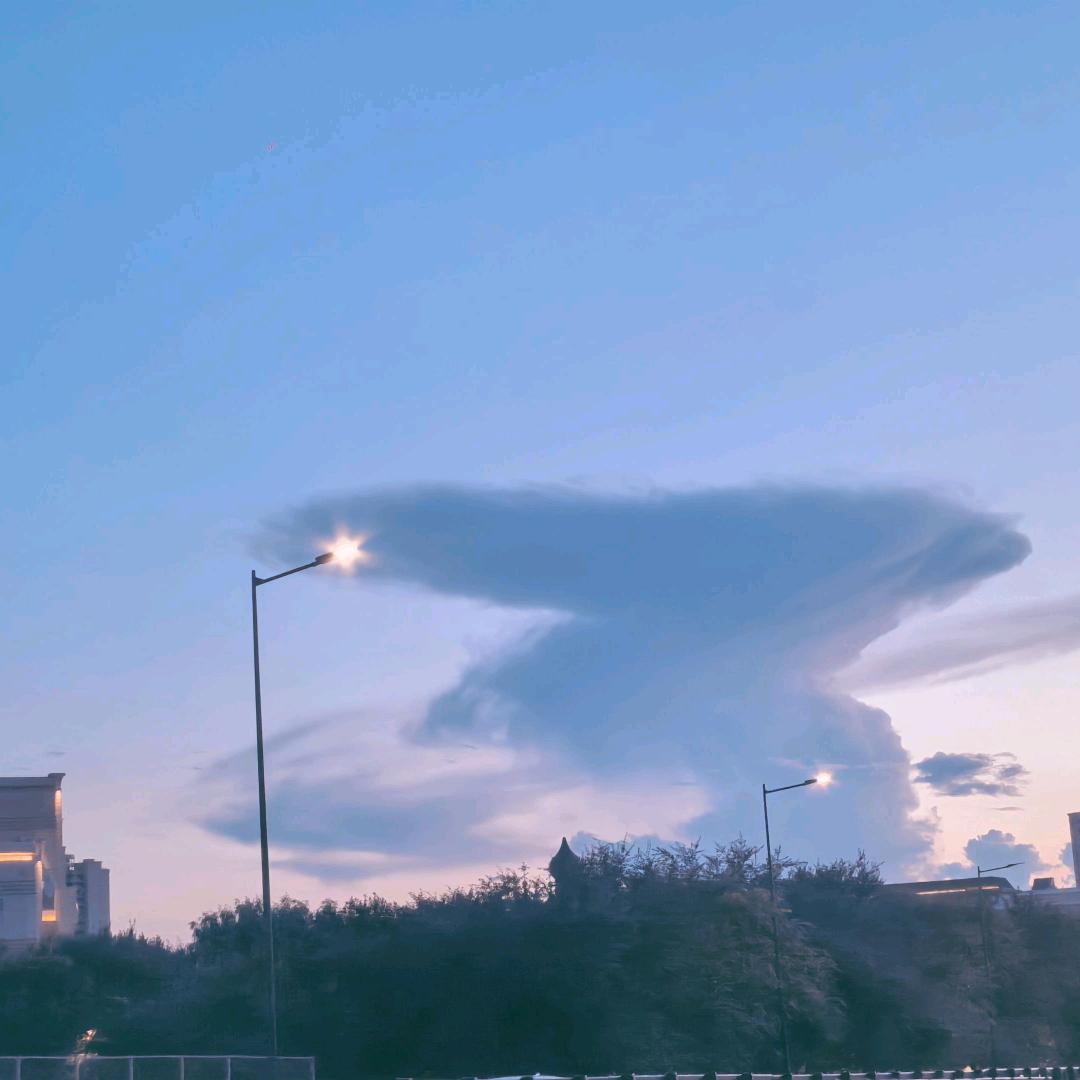 沈阳锤王（毕业版）