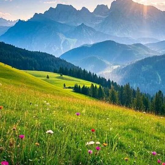 开心快乐每一天