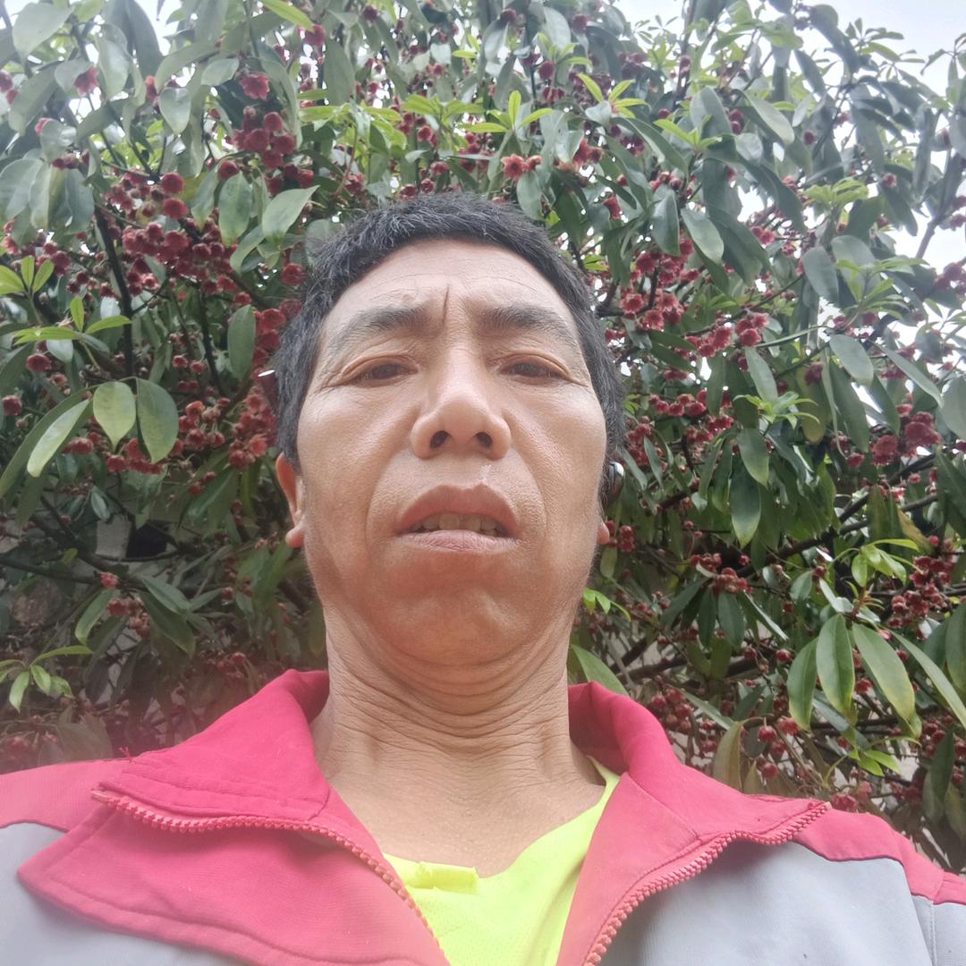 《萧萧》
