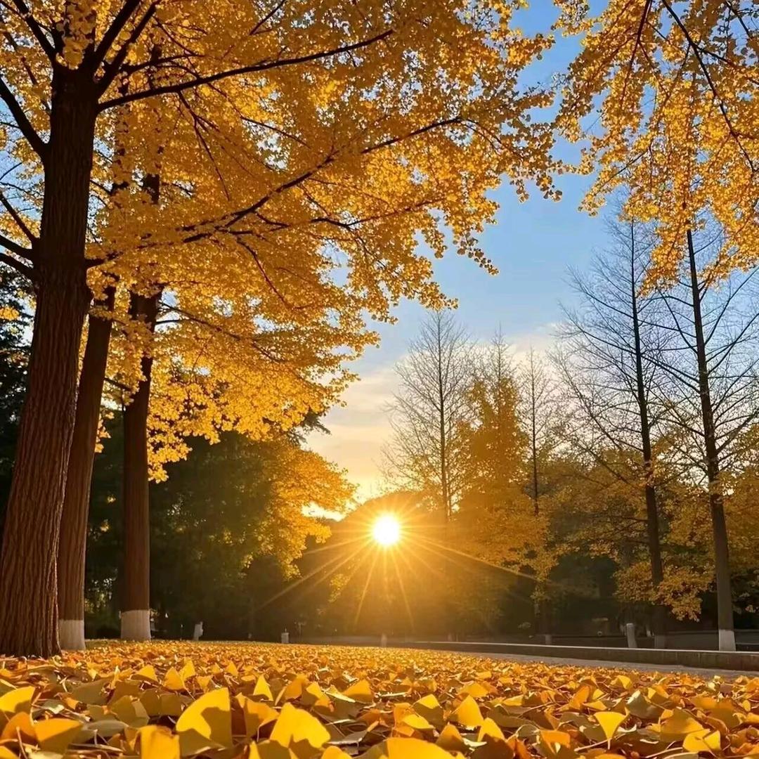 蝴蝶振翅的风声像灵魂告别时的呢喃