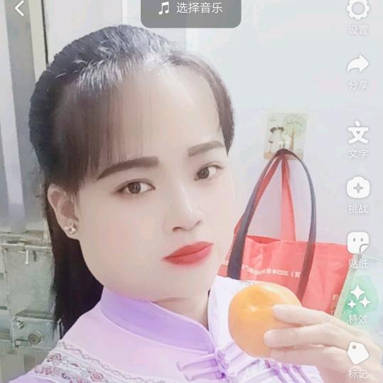 🌙🌸琴