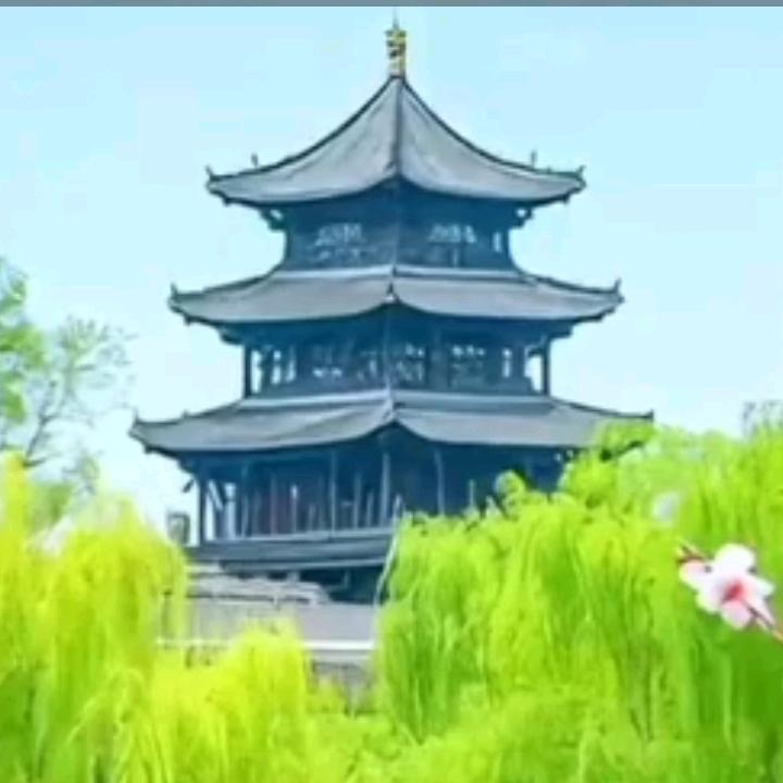 顺其自然🌹🌹