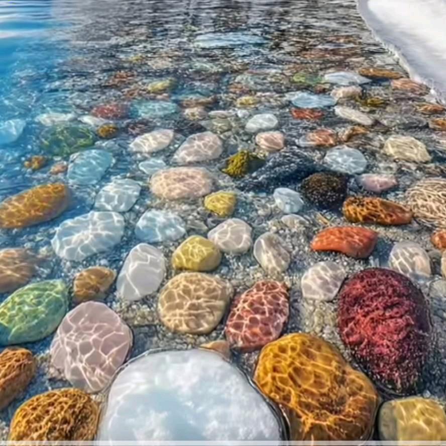 海金澜影