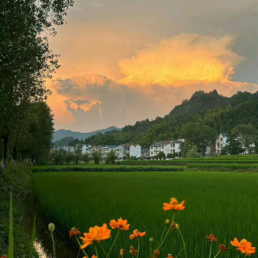 雷迪嘎嘎(*˘︶˘*).｡.:*♡