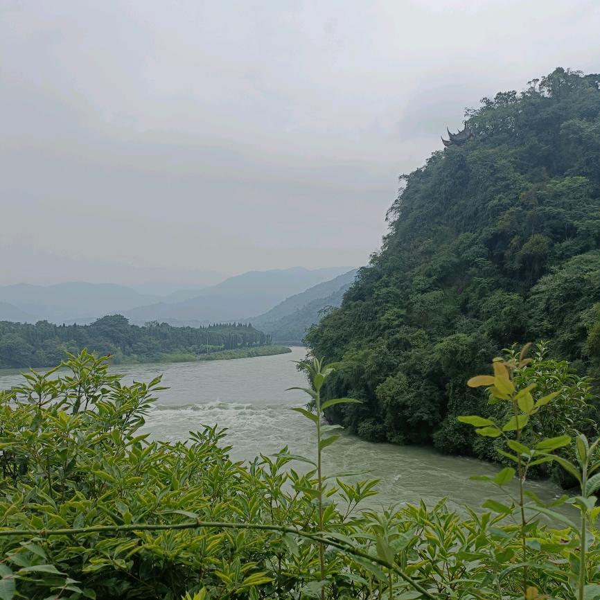彭山王跑跑（清水荷花茶楼37620820