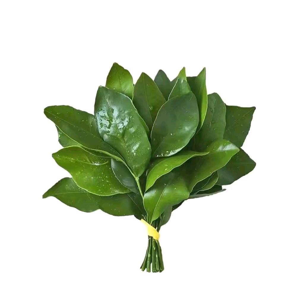 爱吃火锅的郭（见过王源三次版）