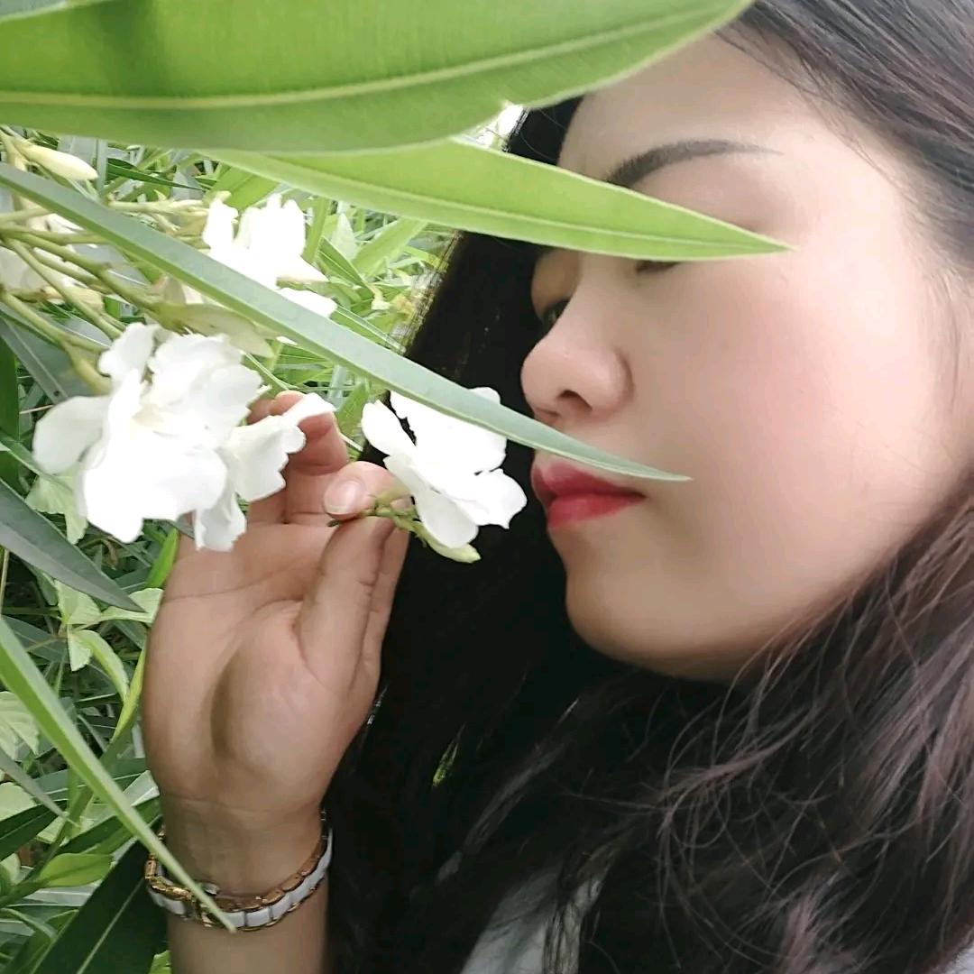 @520 银银（yin）