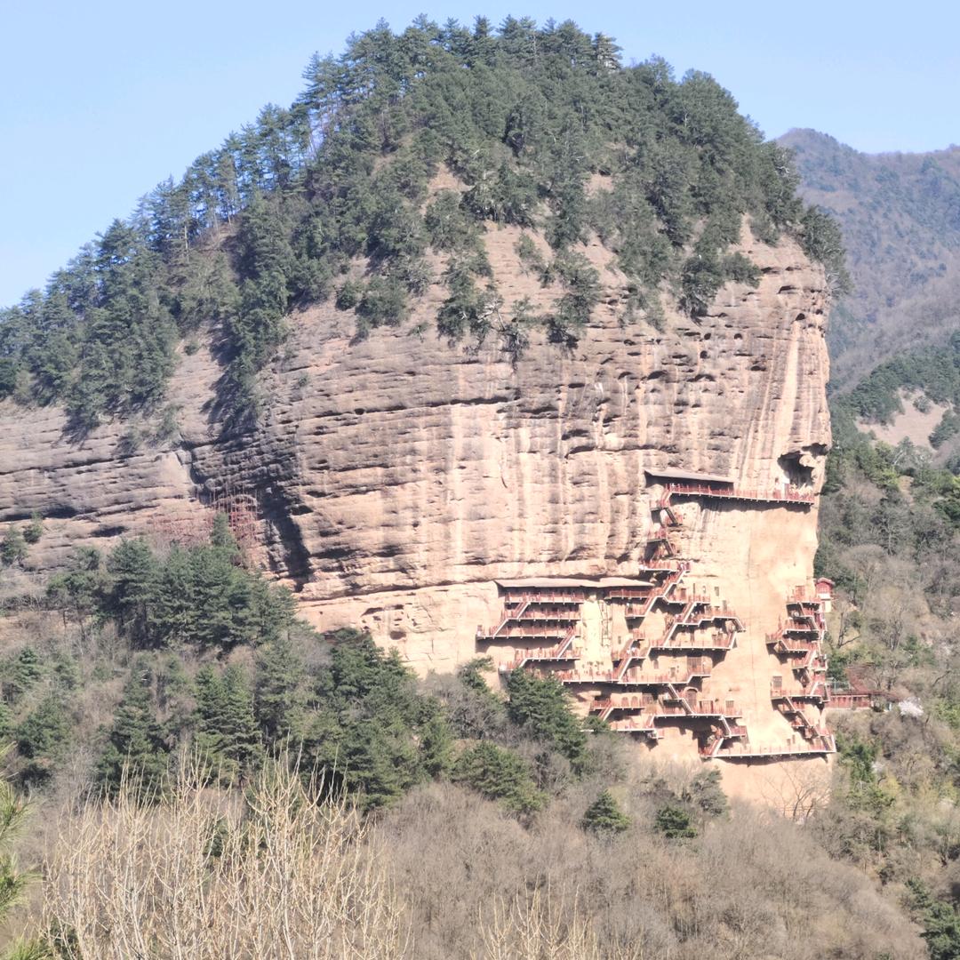 貌似是不貌似