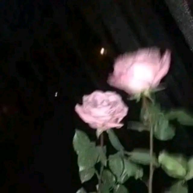 月月三岁宝宝