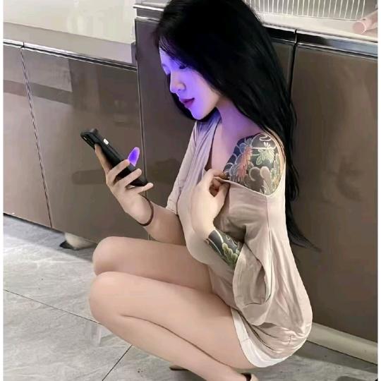 小绵羊