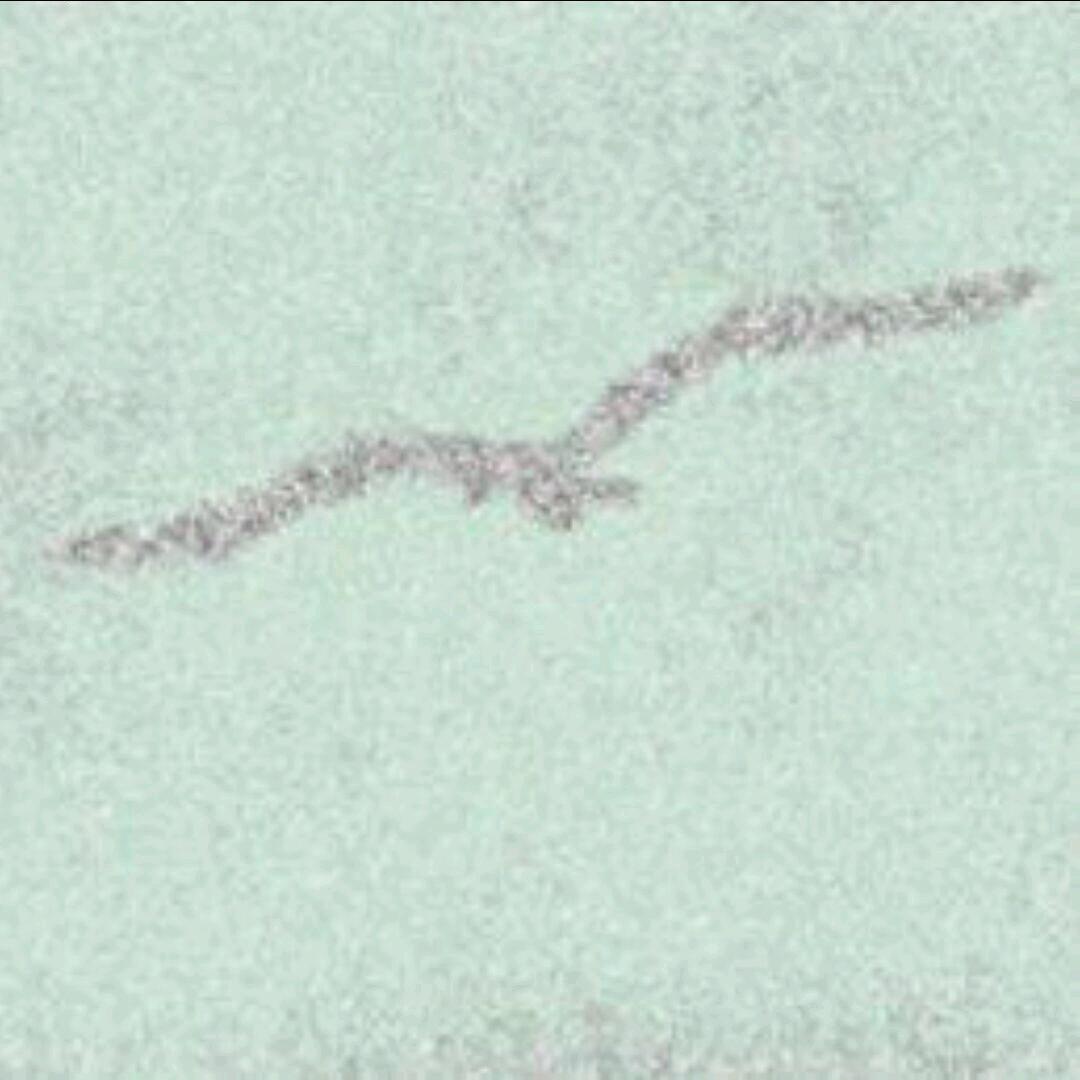 异样的风暴中心