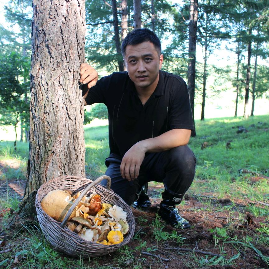 佳旭(山林菌夫)