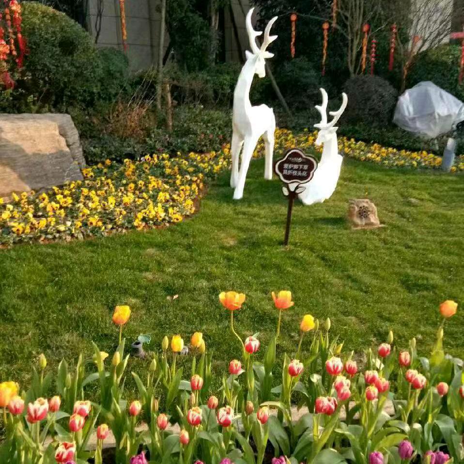 🐍余生安好🍓🍓🍓