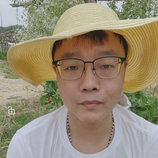 农业种植—林豆豆