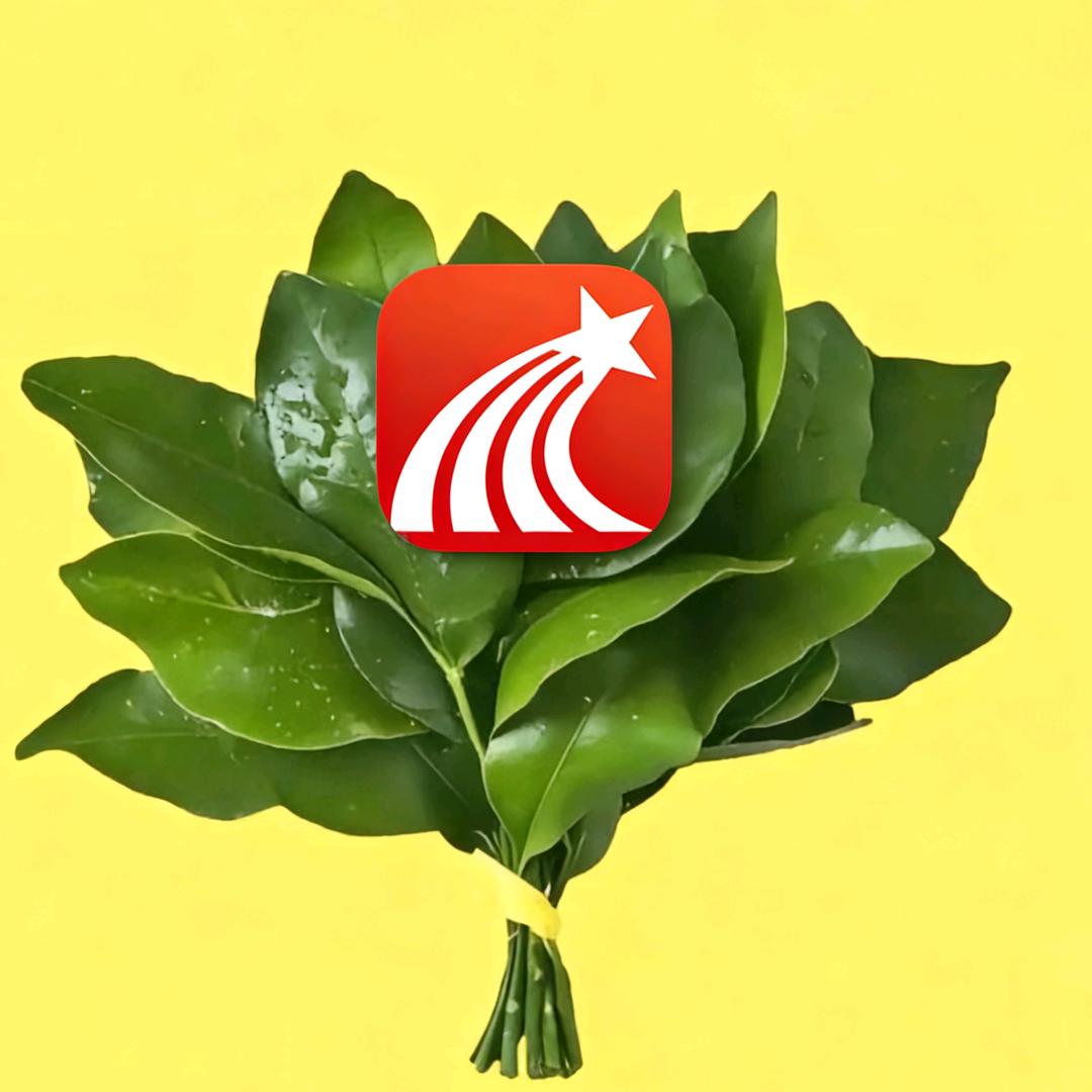 2闪小逸（国一安琪拉）