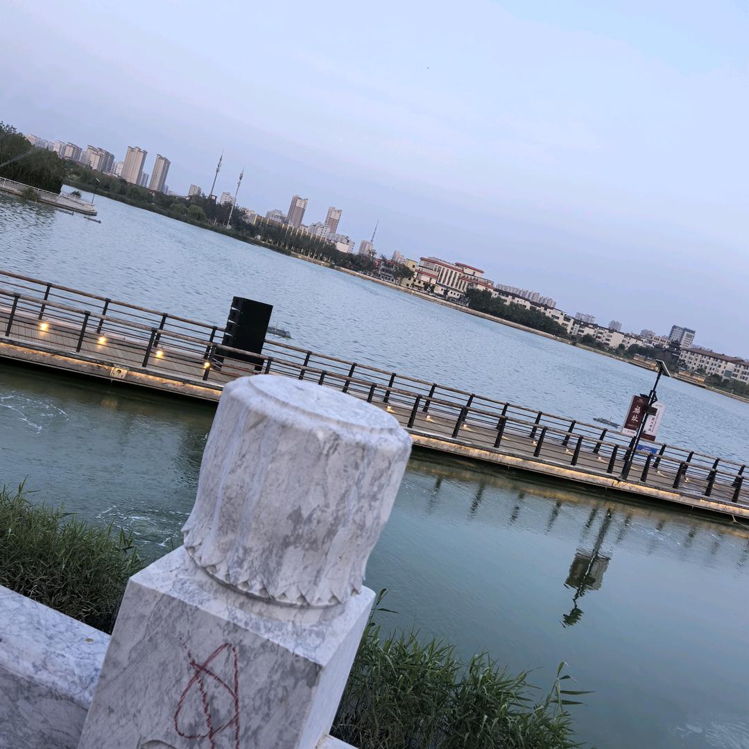 用户81566886