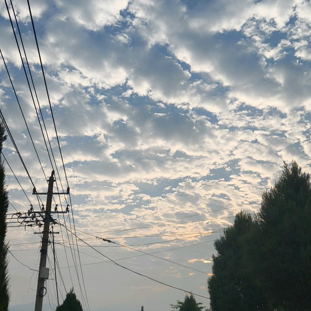☁️云☁️云☁️