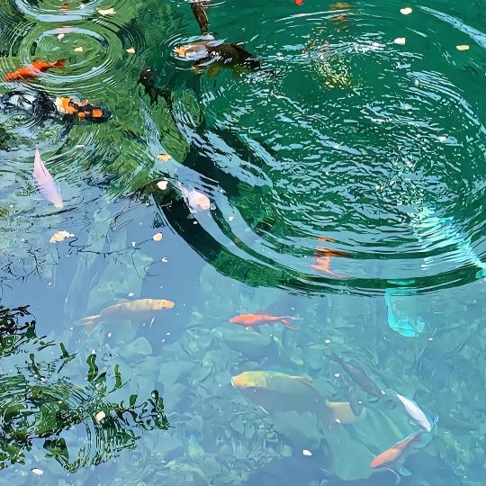 我就是我，不一样的烟火