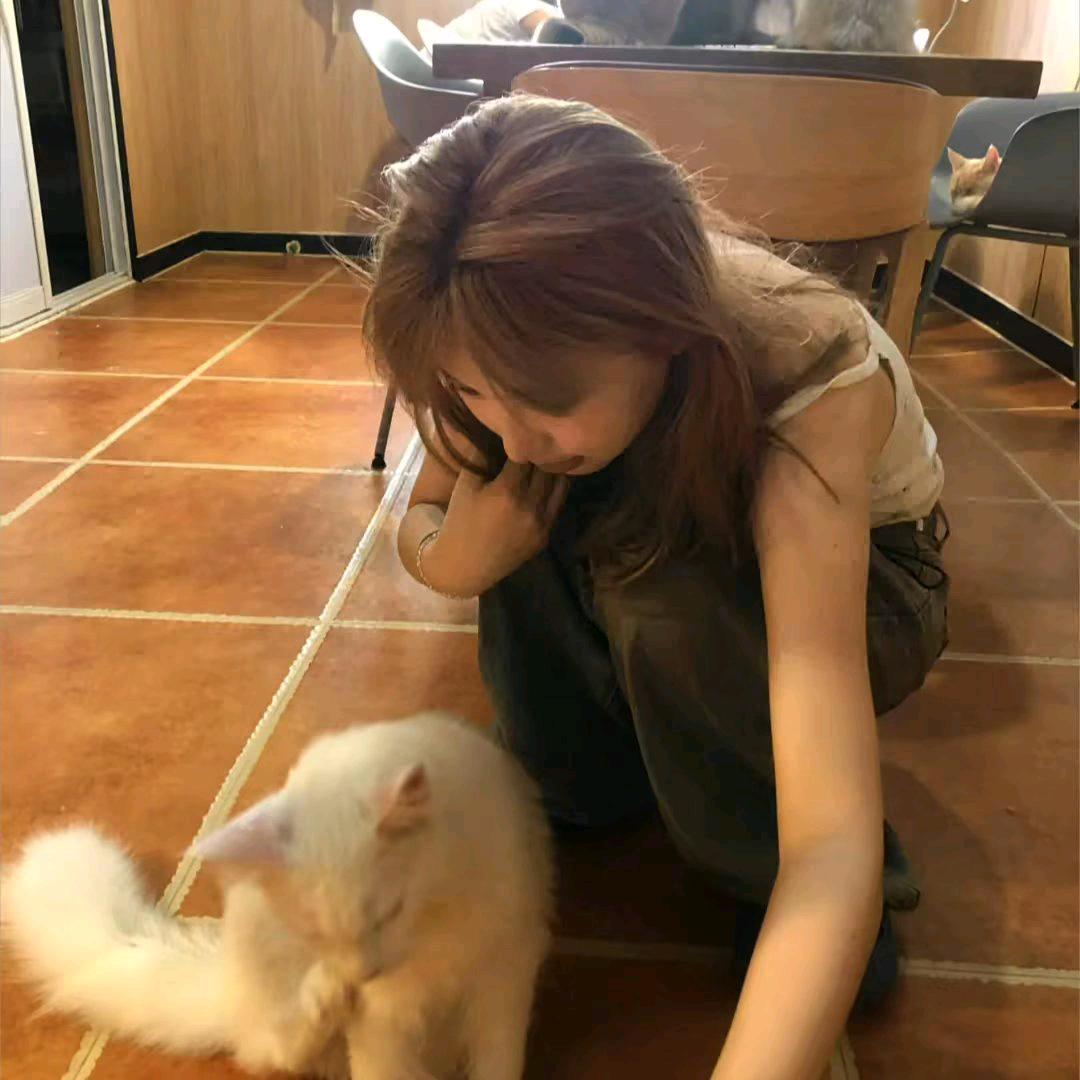 你怎么又脸红了.