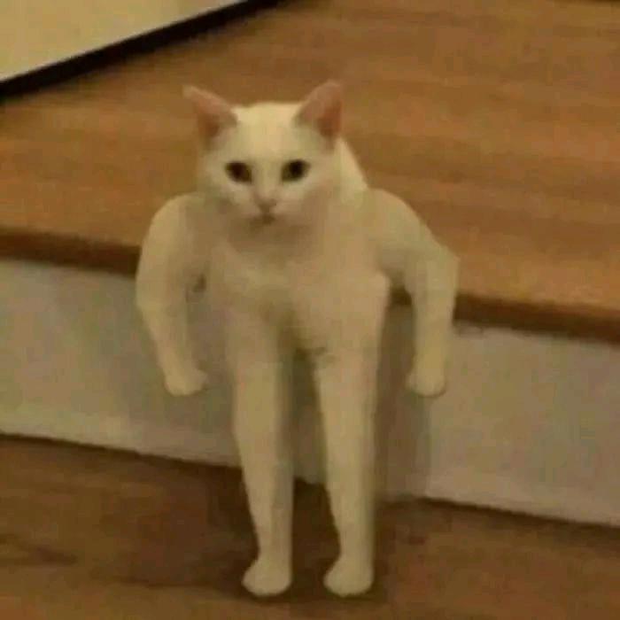 苦艾