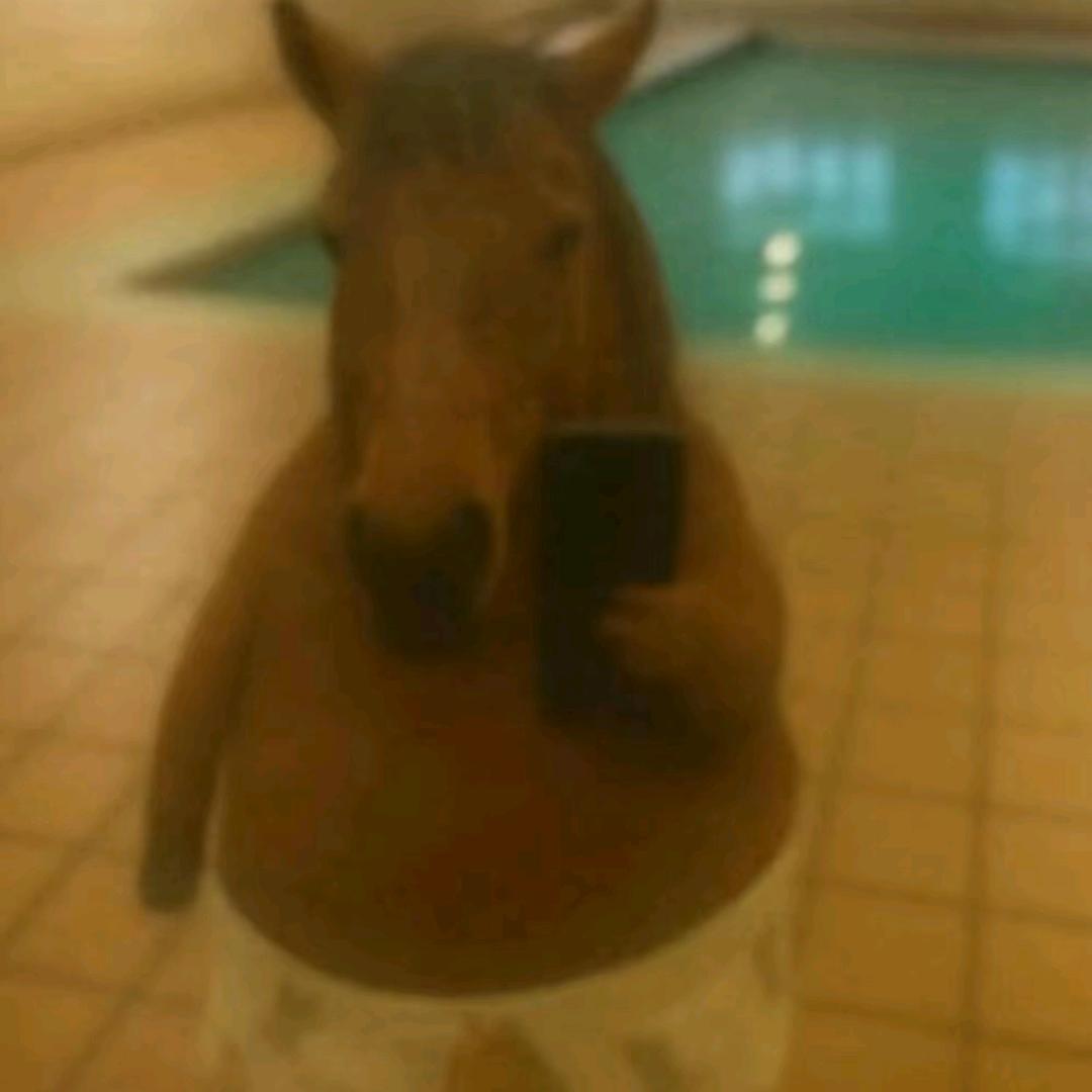 Pigu