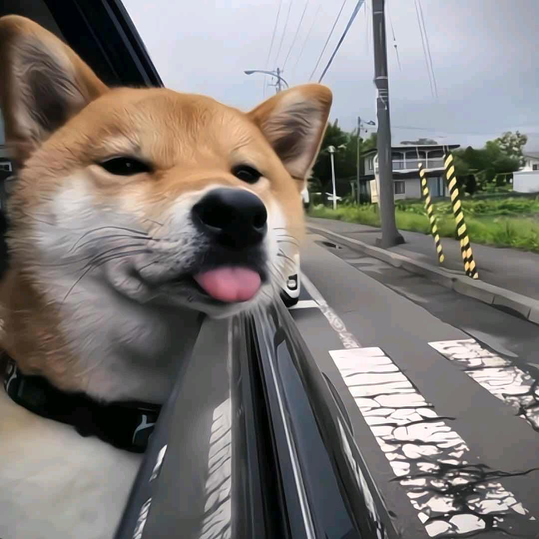 京东遵义城市服务商