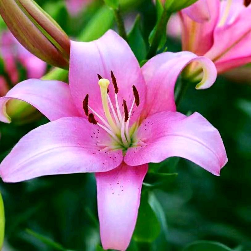 月亮姐（带你旅游）