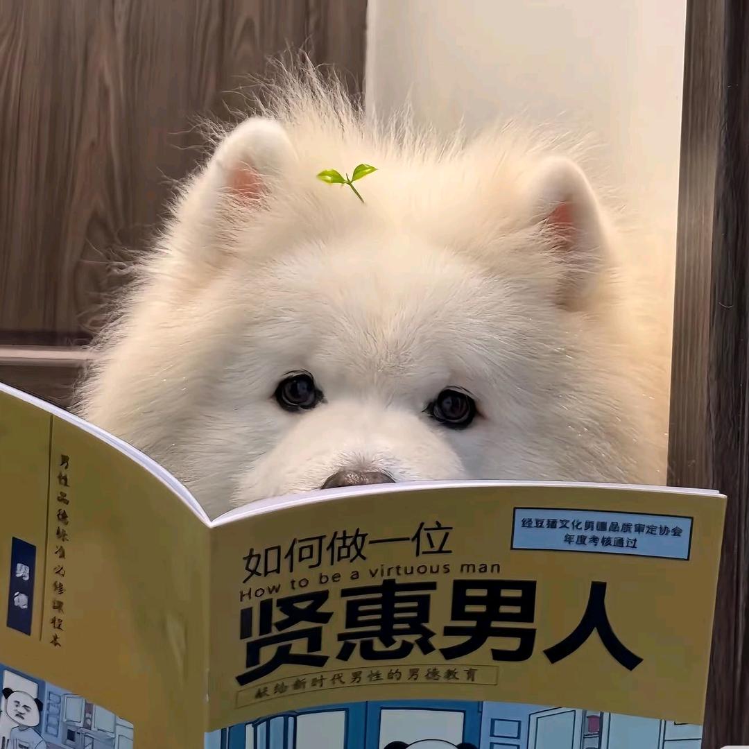 护国寺