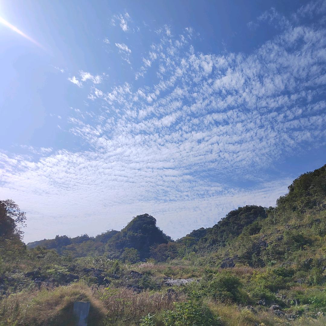 小付（蔬果园）