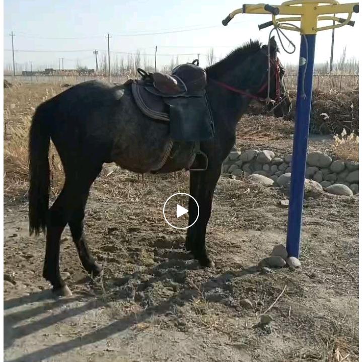 雨ঞৣঁ夜প᪲街᭄头