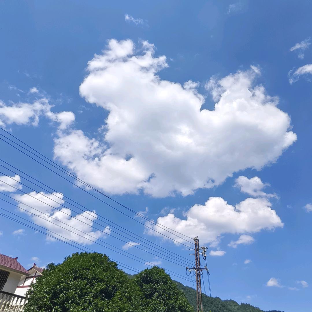 小游不开僧