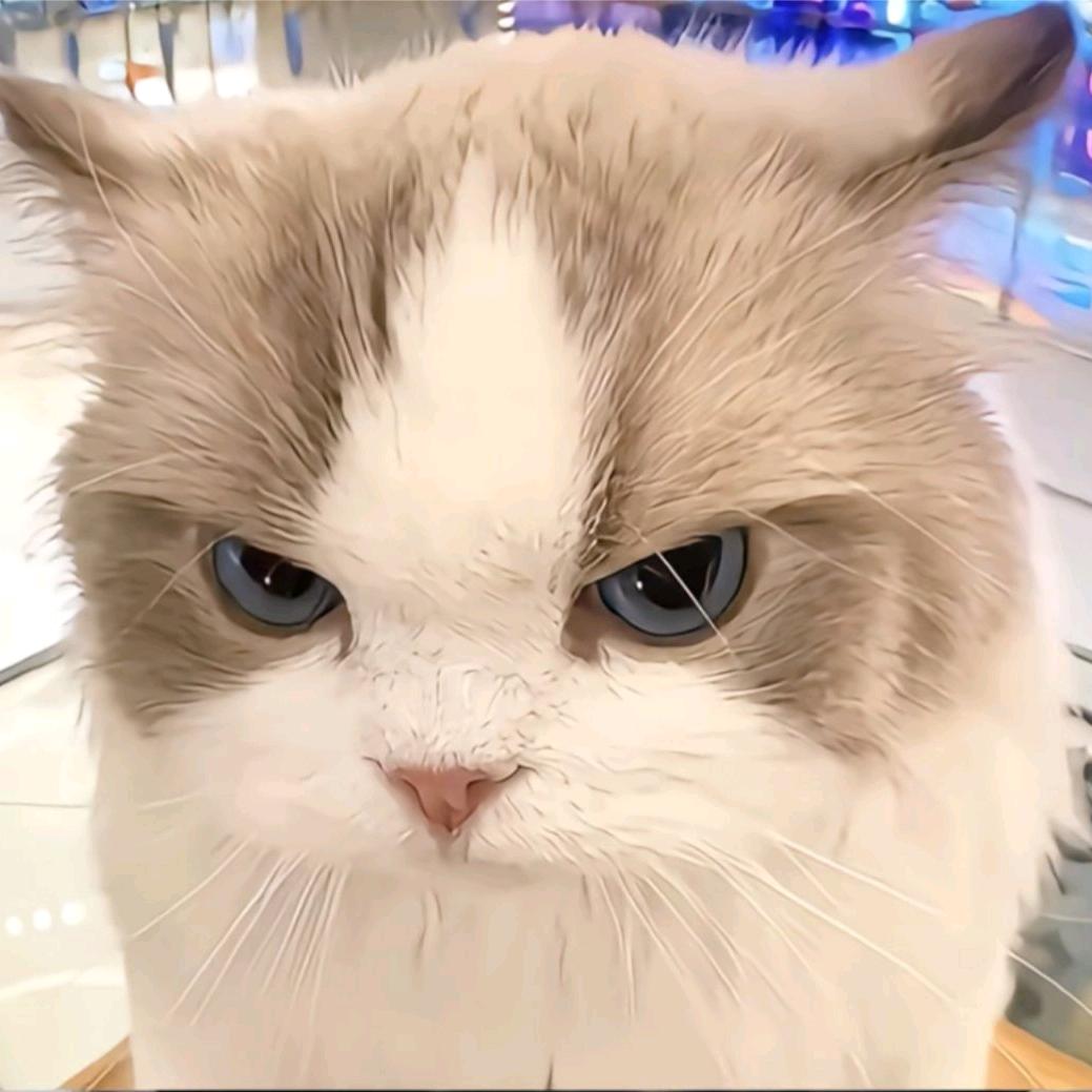 我是一个聋哑人