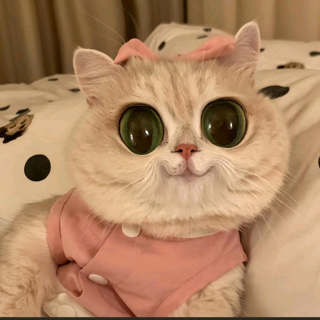 L!