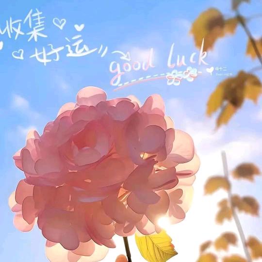 *:ஐ多财🎉٩(๑´ᵕ`)۶多亿💞ஐ