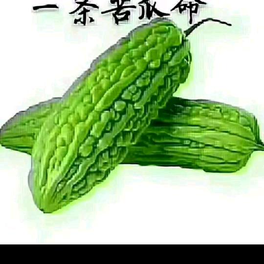 醉人之心