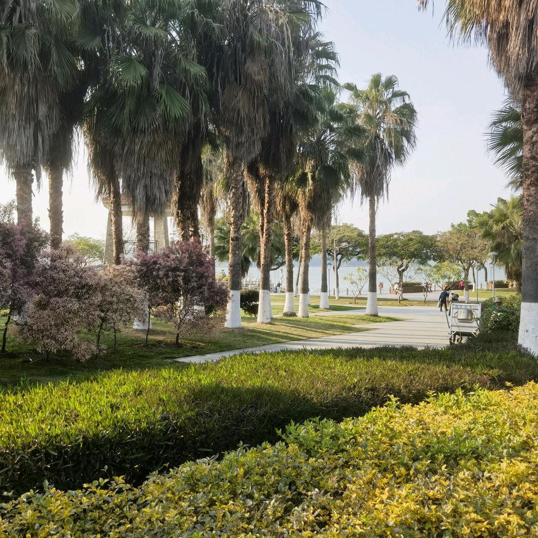 简单∽∽完美。