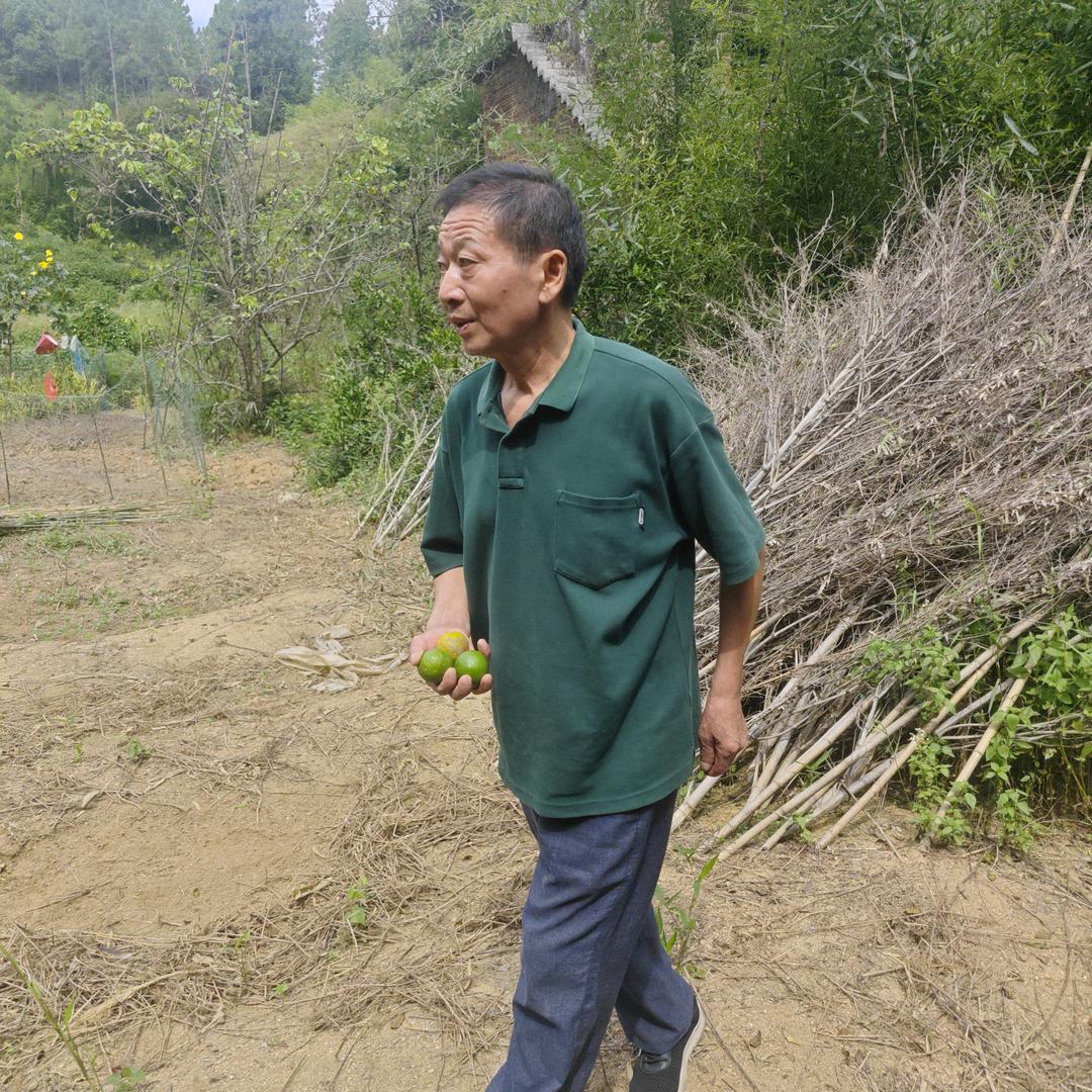 老彭的抗癌日记