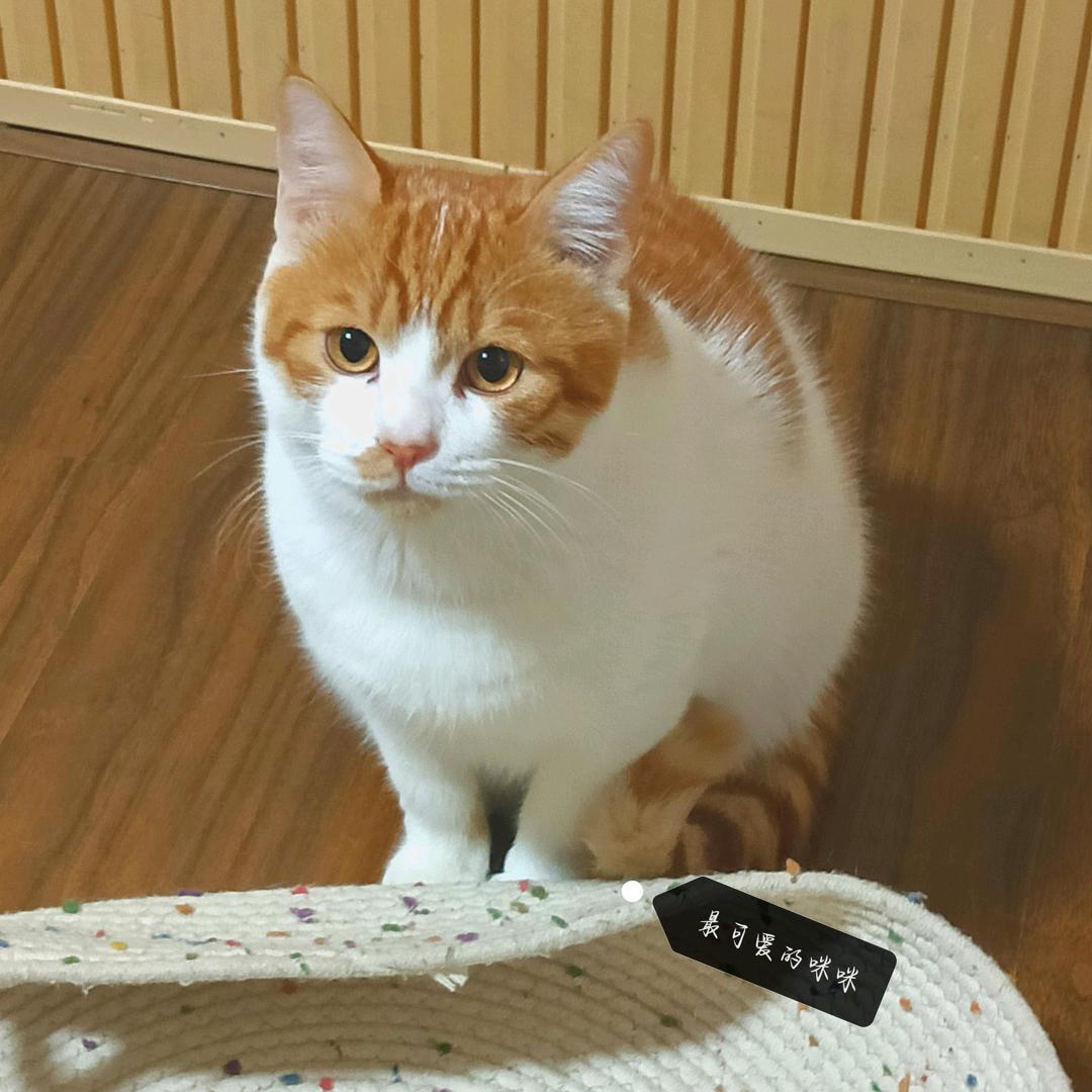 故.
