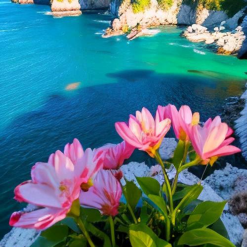 锦上添花易，雪中送炭难