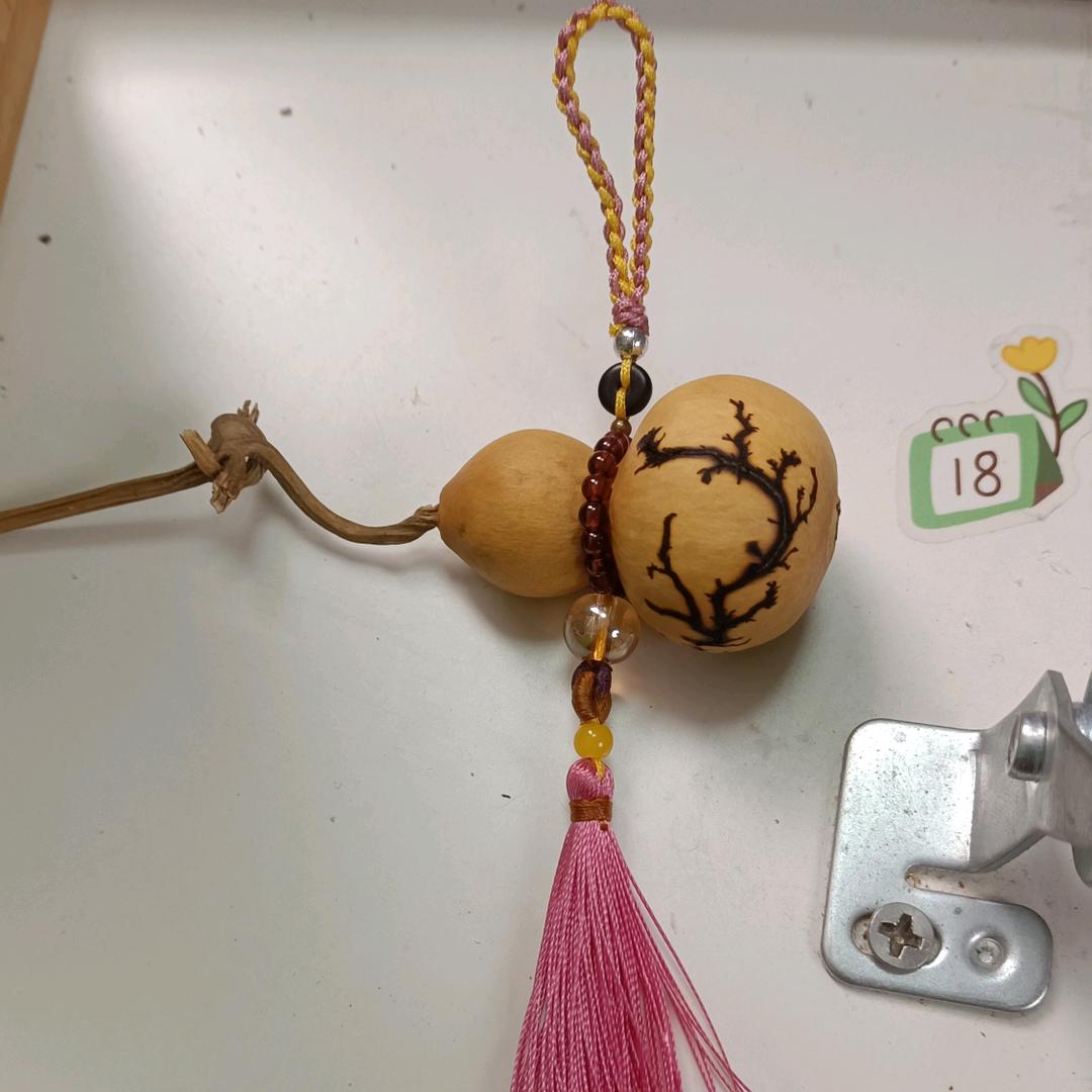 爱编绳的猫