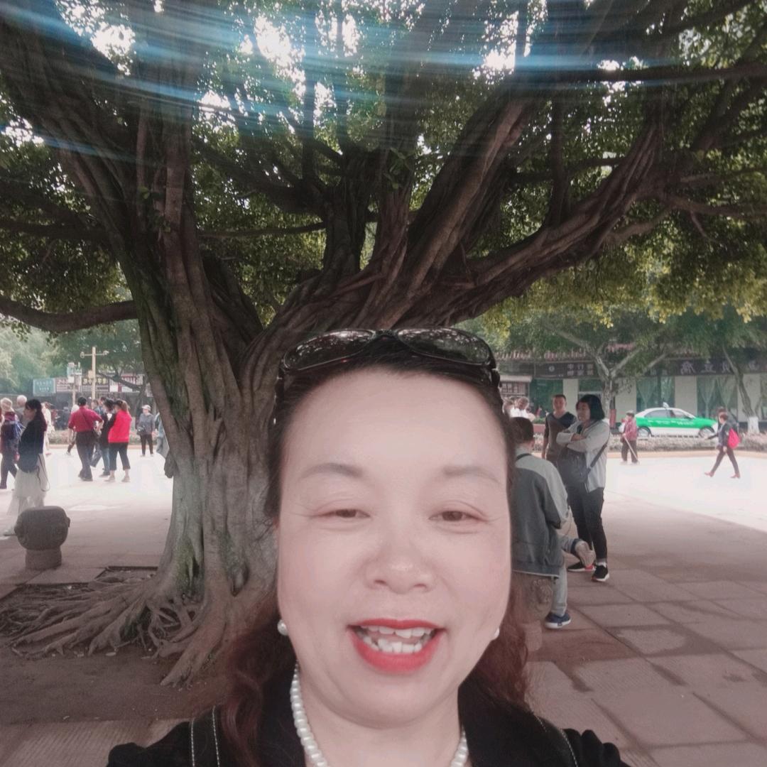风的季节