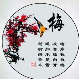 心雨.