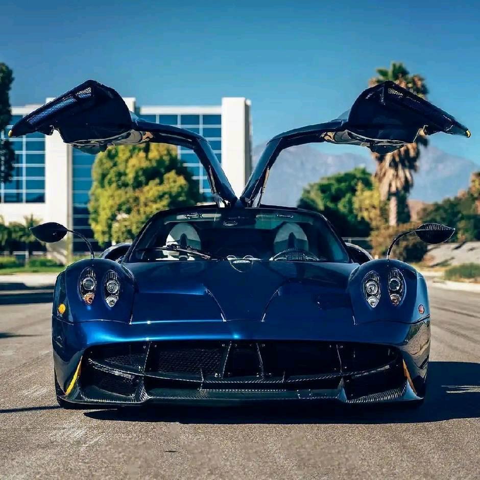 聚阳二手车-樊师