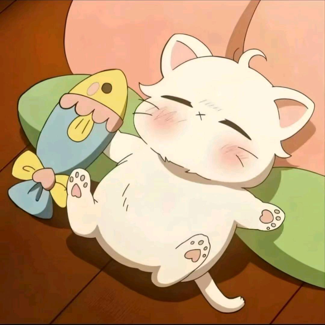 安凝🌻